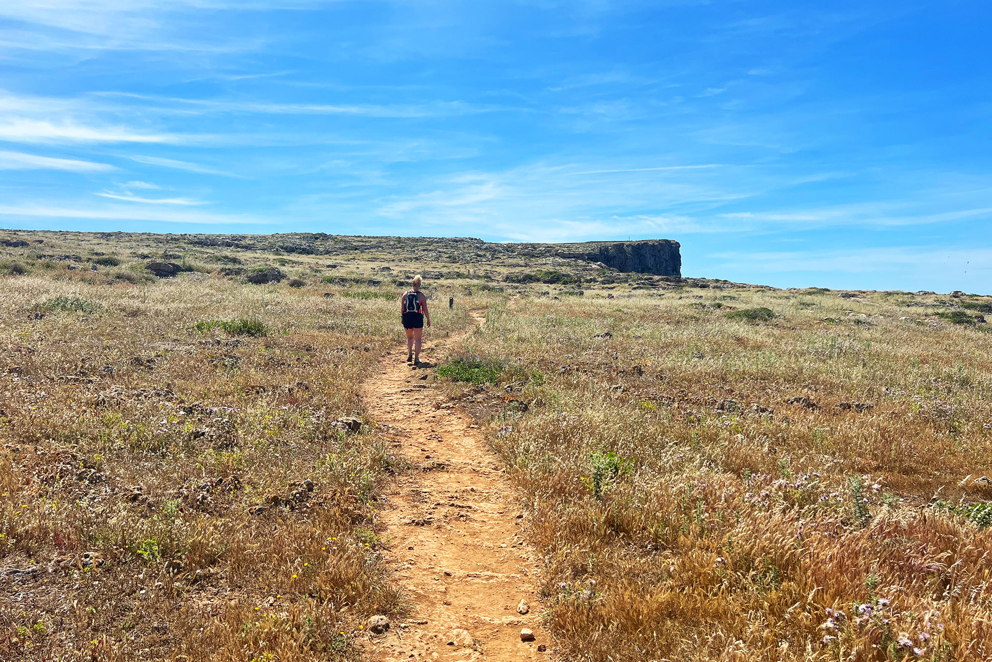 Foto 05.10.24, 11 31 05 (4)