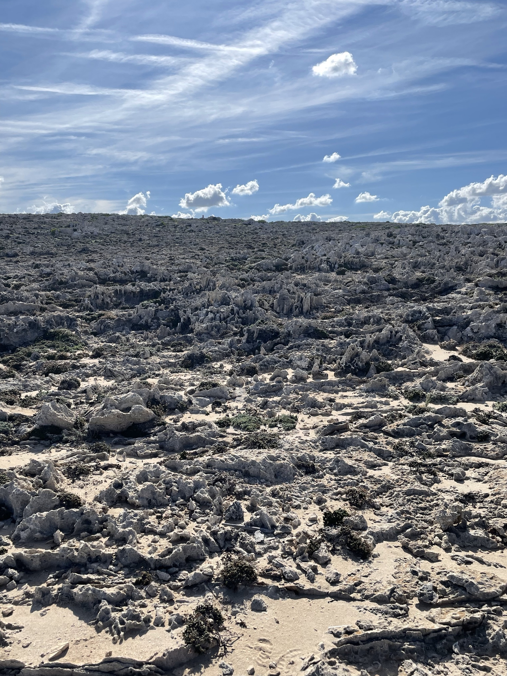 Cliff Trail Ersatz_5