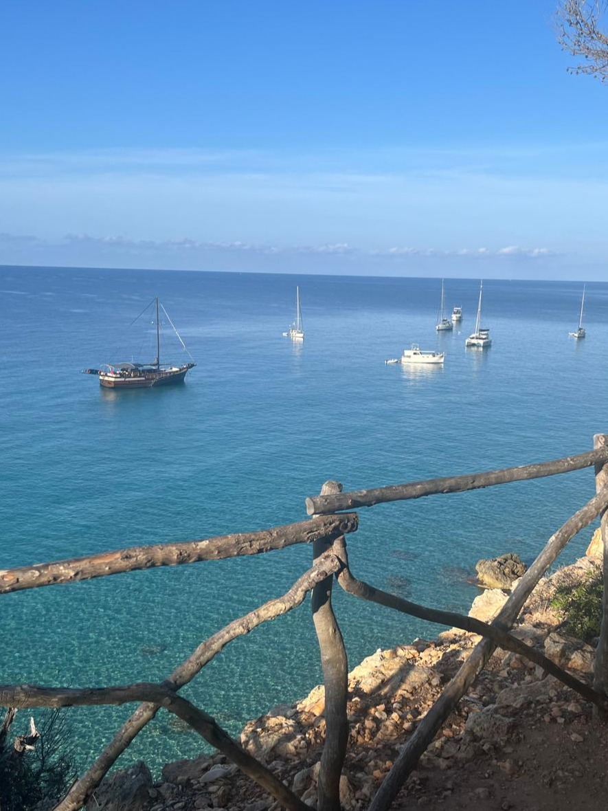 Foto 05.10.24, 11 33 23 (3)