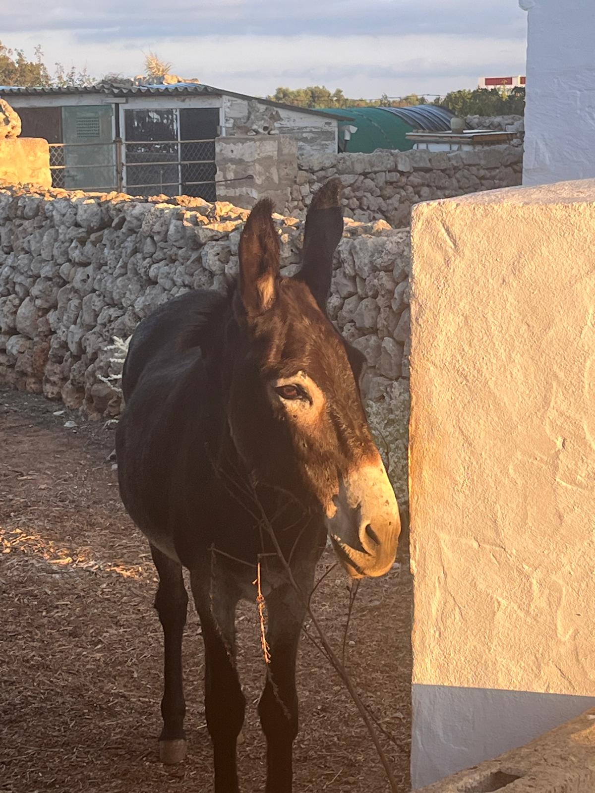 Foto 05.10.24, 11 33 23 (4) (1)