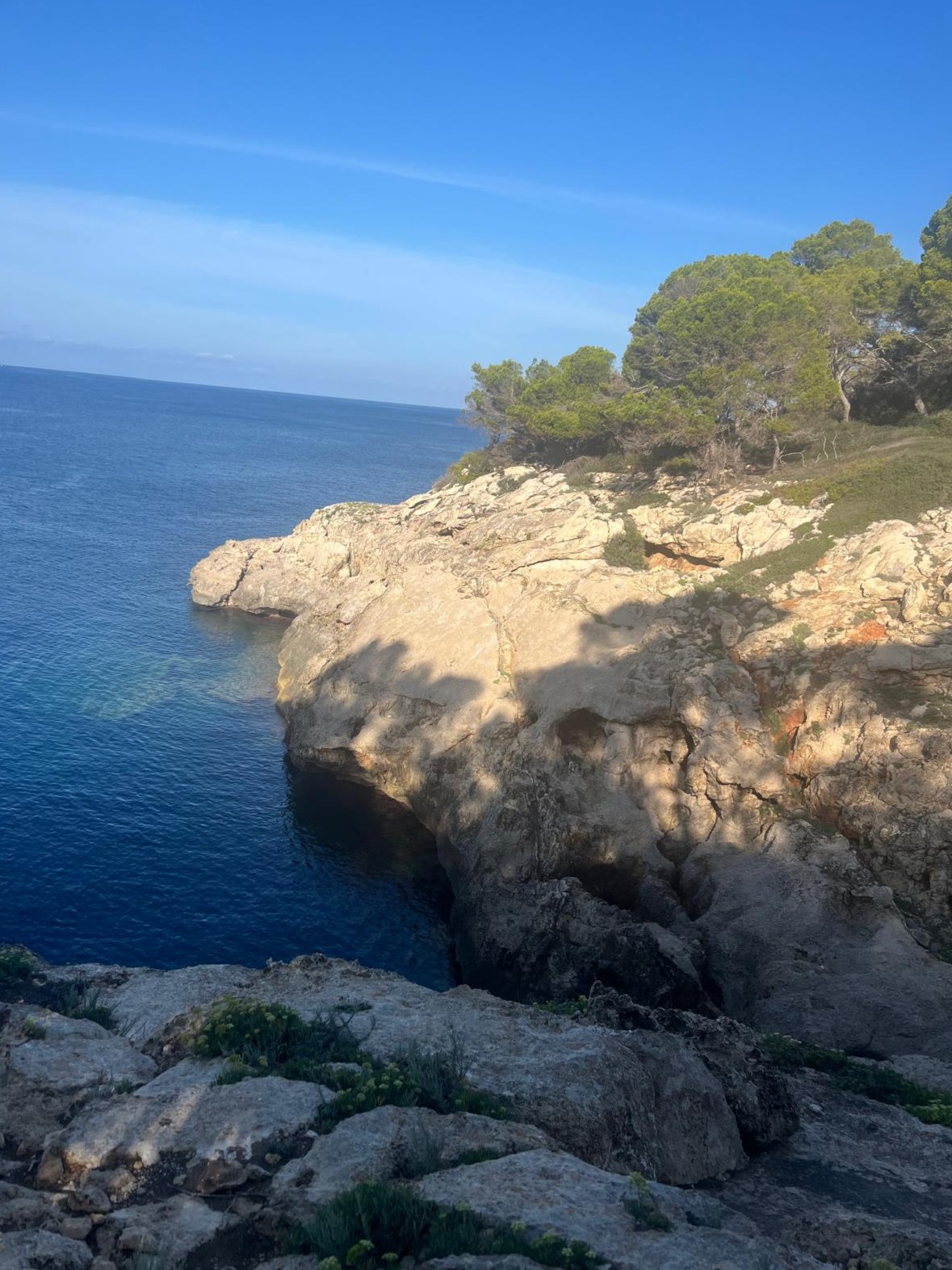 Foto 05.10.24, 11 33 23 (5) (1)