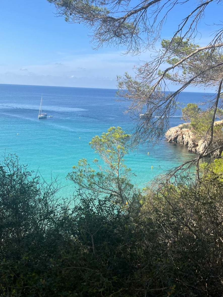 Foto 05.10.24, 11 33 23 (6)