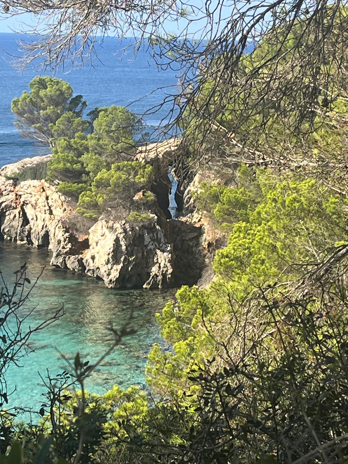 Foto 05.10.24, 11 33 23 (8)