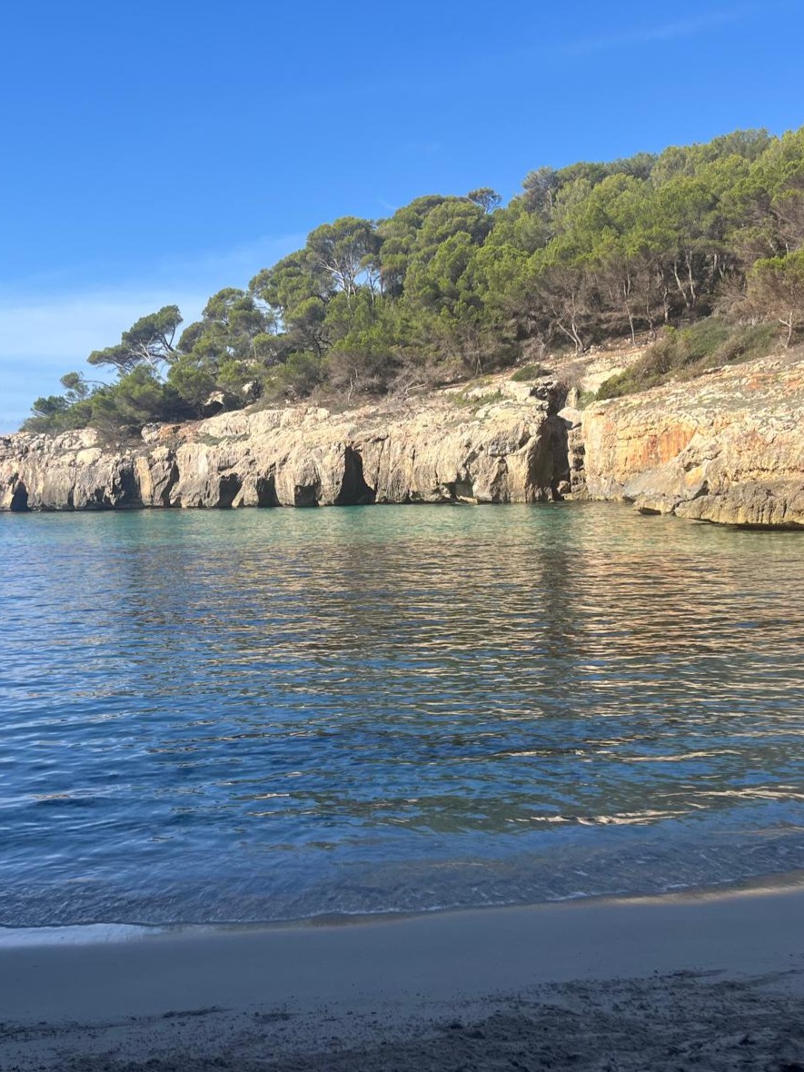 Foto 05.10.24, 11 33 23 (9)