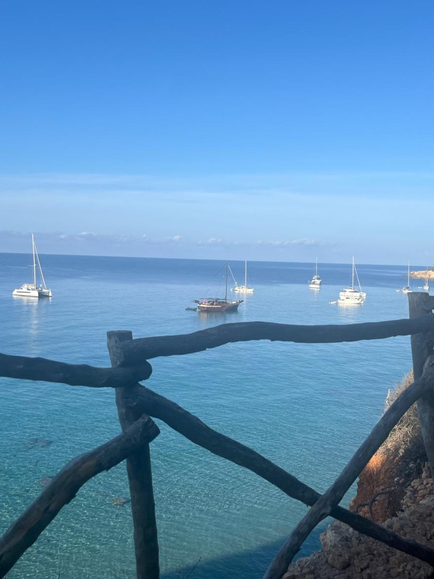 Foto 05.10.24, 11 33 23