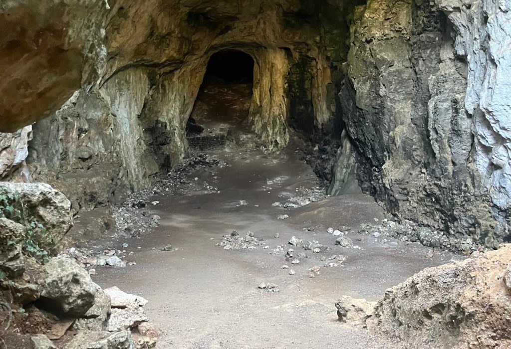 Foto 05.10.24, 11 34 01 (9)